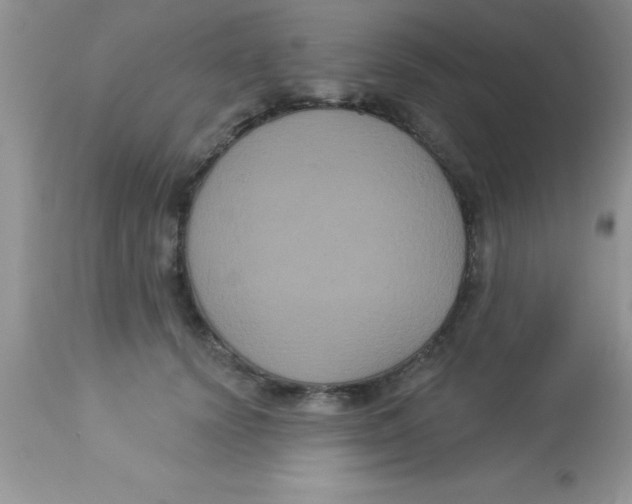 X0000113060656200909182002