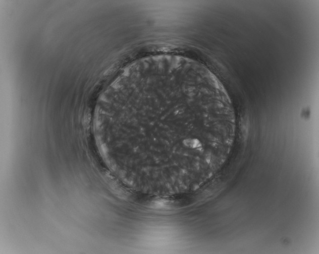 X0000113060657200909182002