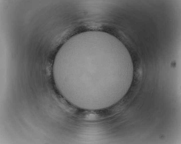 X0000113060658200909182002