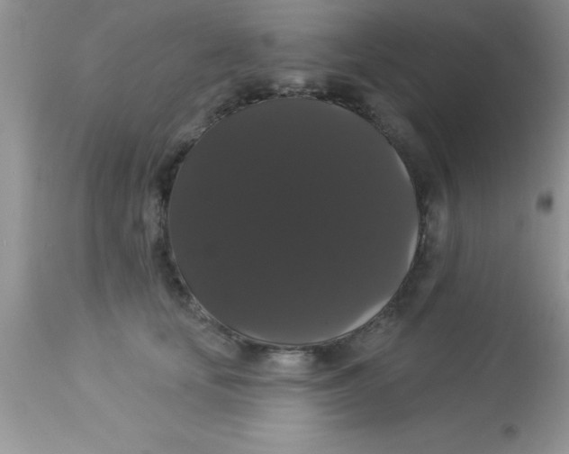 X0000113060659200909182002