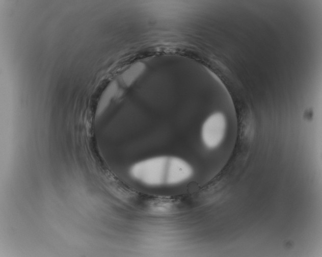 X0000113060661200909182002