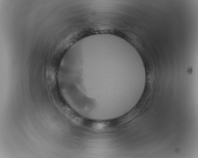 X0000113060662200909182002