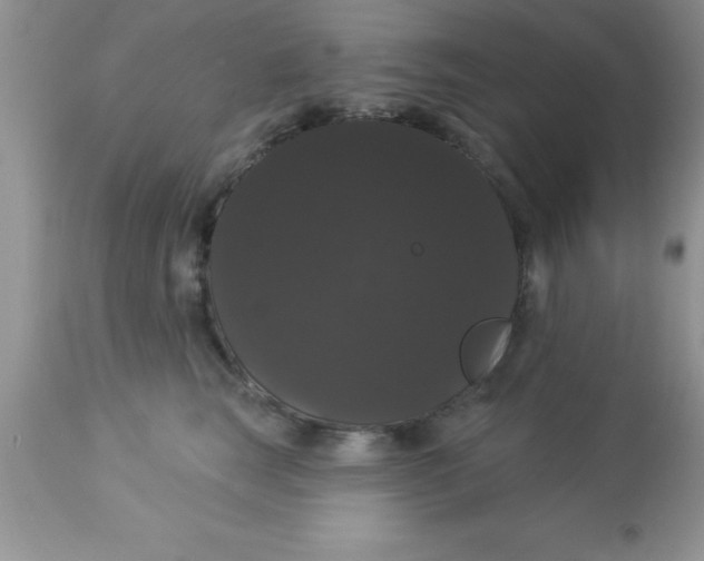 X0000113060663200909182002