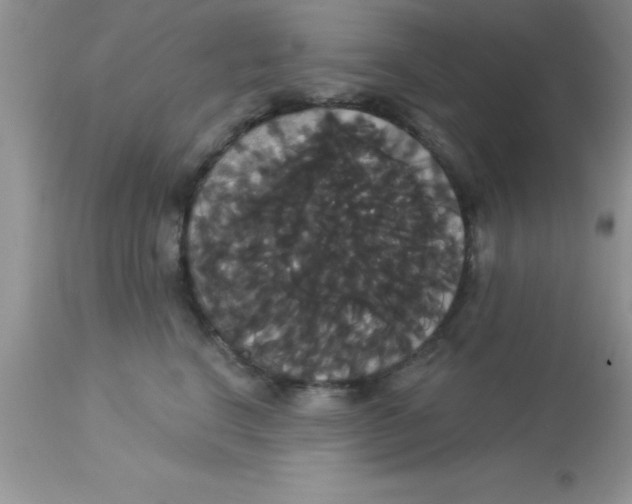 X0000113060664200909182002