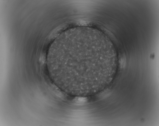 X0000113060665200909182002