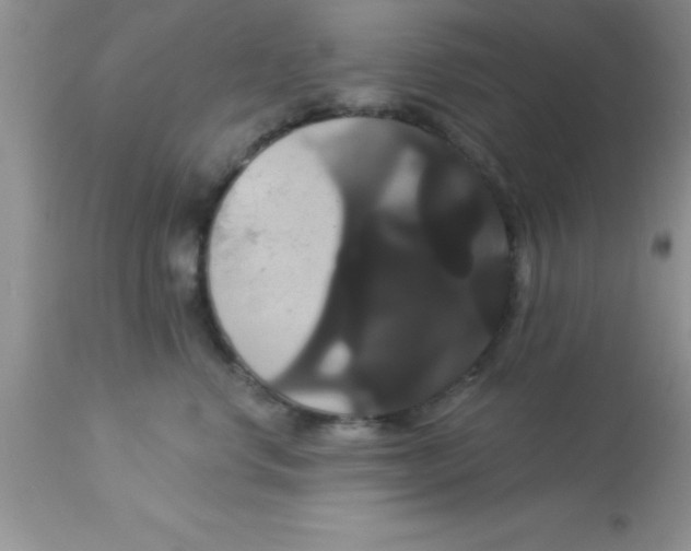 X0000113060668200909182002