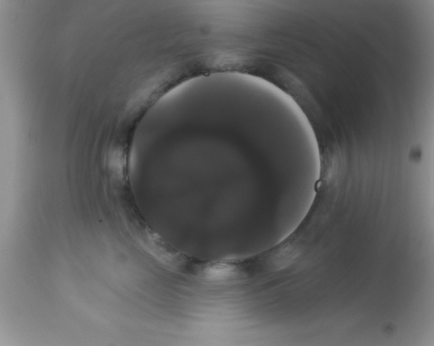 X0000113060669200909182002