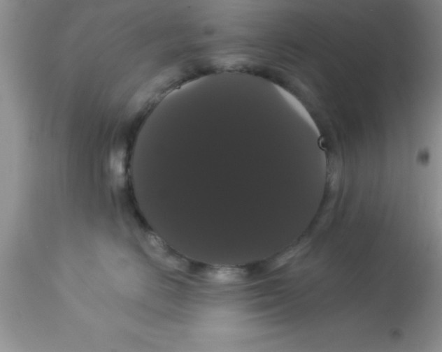 X0000113060670200909182002