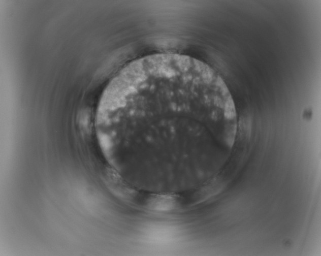 X0000113060671200909182002