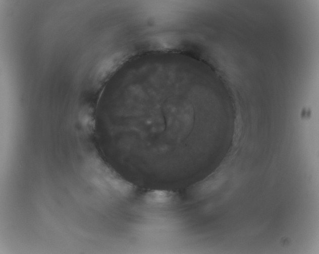 X0000113060672200909182002