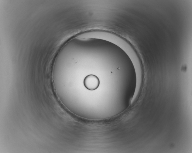 X0000113060673200909182002
