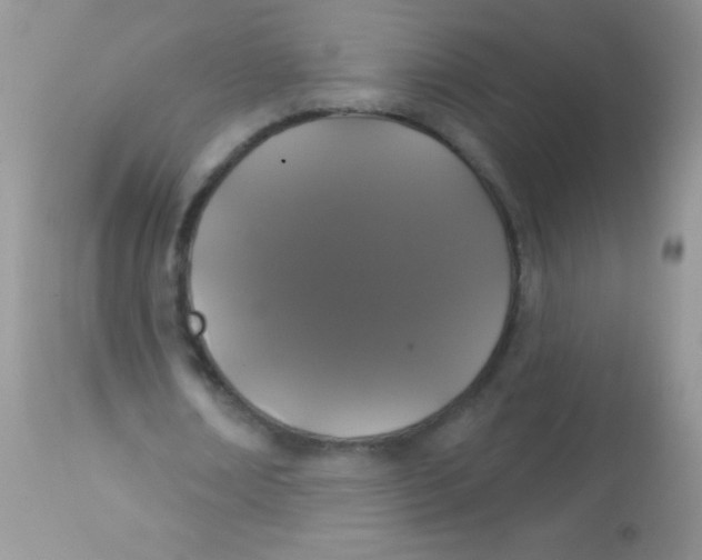 X0000113060674200909182002