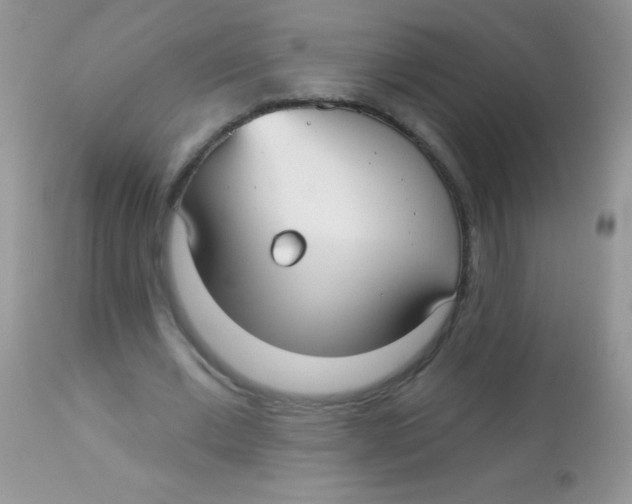 X0000113060677200909182001