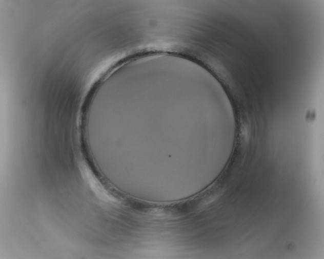 X0000113060678200909182001