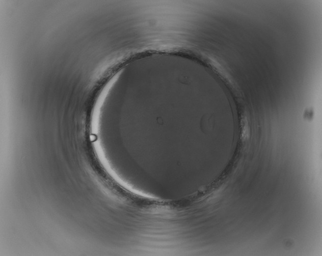 X0000113060685200909182001