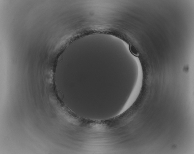 X0000113060689200909182001