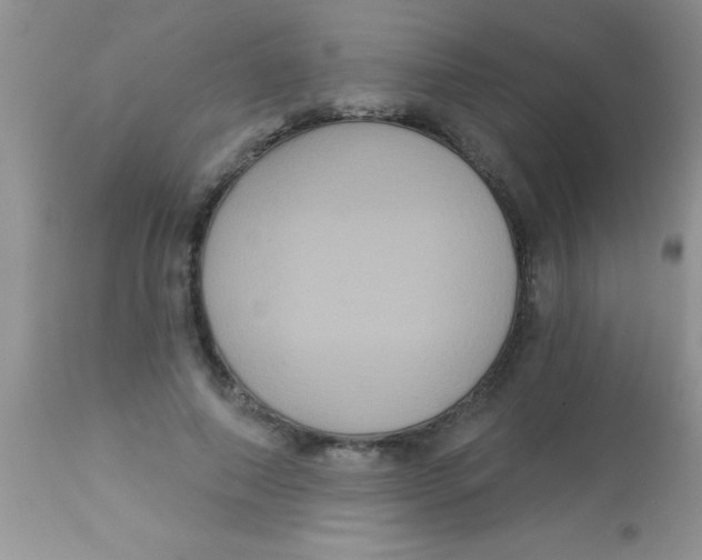 X0000113060690200909182001
