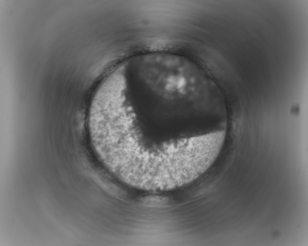 X0000113060691200909182001