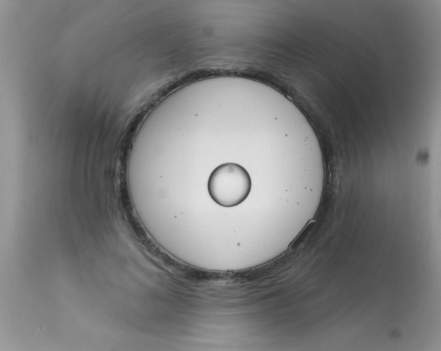 X0000113060692200909182001