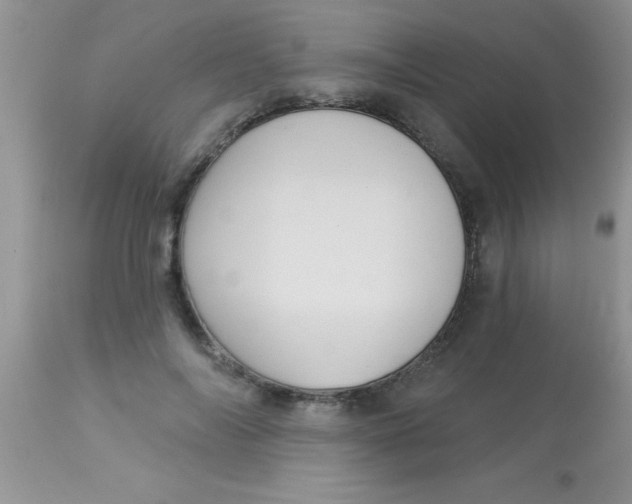 X0000113060694200909182001