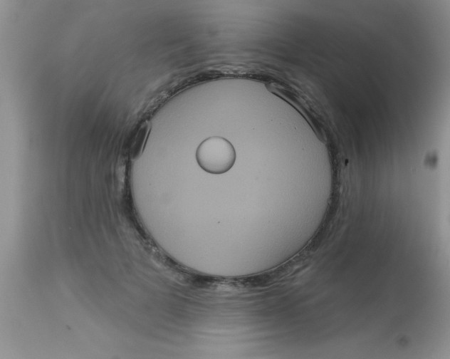 X0000113060697200909182001