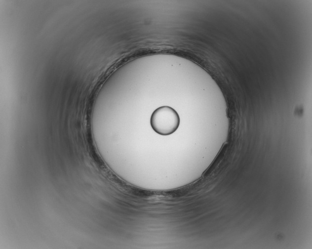 X0000113060700200909182001