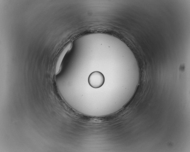 X0000113060701200909182001