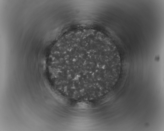 X0000113060703200909182001