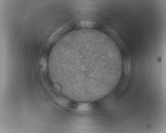 X0000113060705200909182001