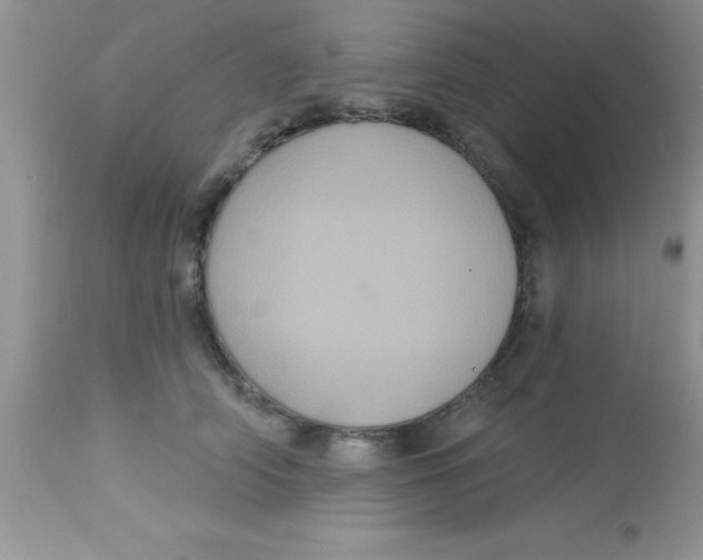 X0000113060706200909182001