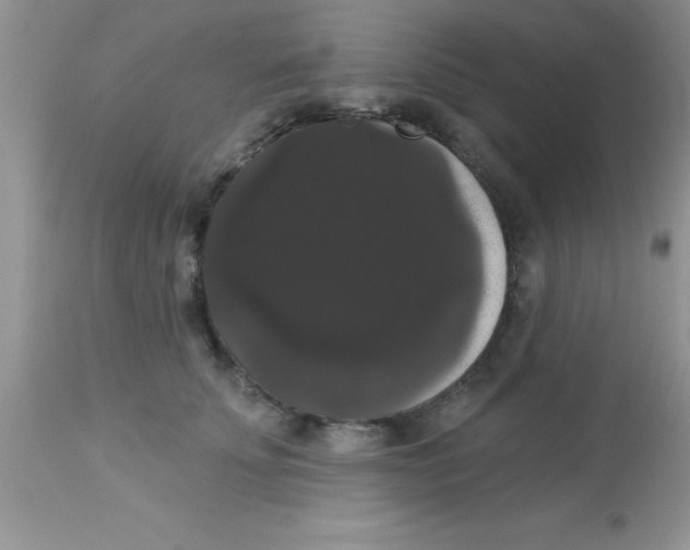 X0000113060707200909182001