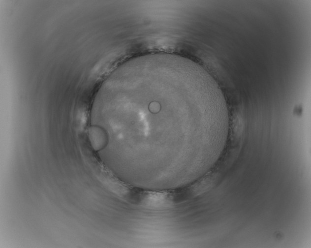 X0000113060709200909182001