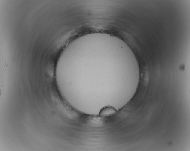 X0000113060710200909182001