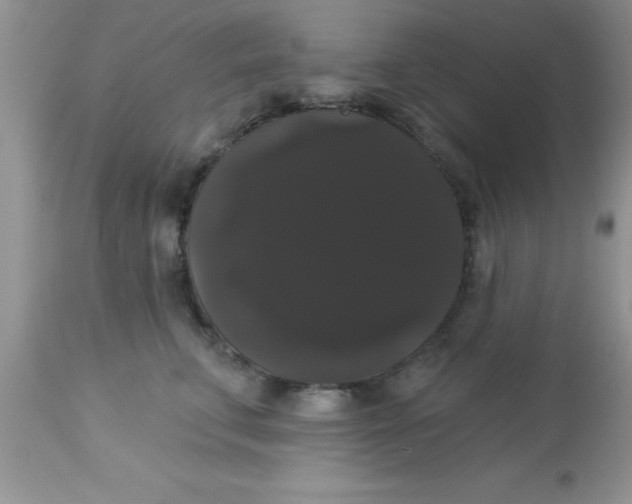 X0000113060711200909182001