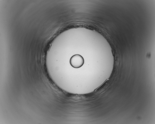 X0000113060712200909182001