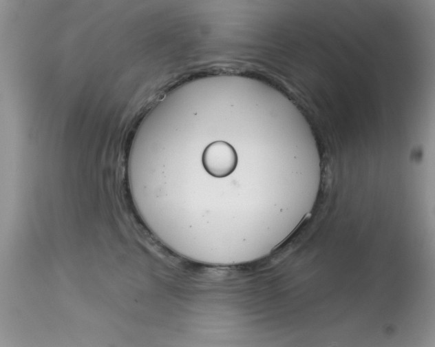 X0000113060713200909182001