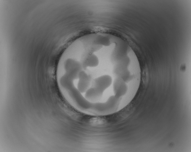 X0000113060714200909182001
