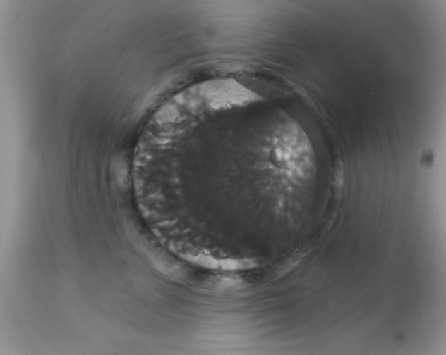 X0000113060715200909182001