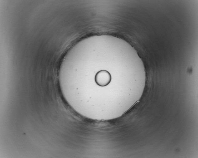 X0000113060716200909182001