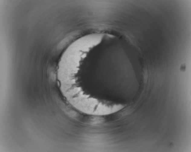 X0000113060719200909182001