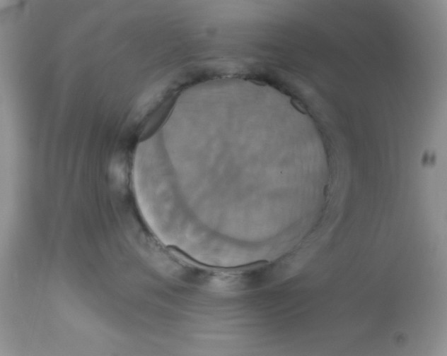 X0000113060720200909182001