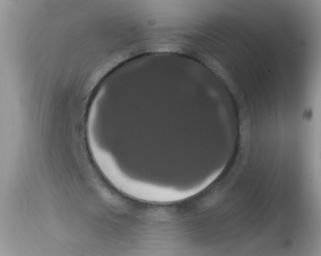 X0000113060721200909182000
