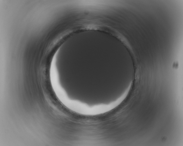 X0000113060722200909182000