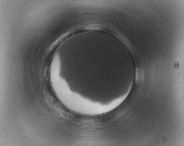 X0000113060723200909182000