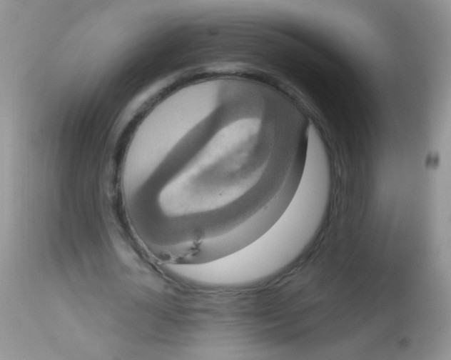 X0000113060724200909182000