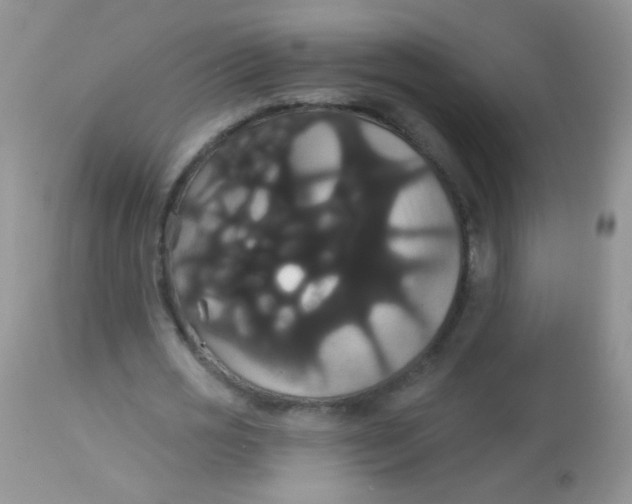 X0000113060725200909182000