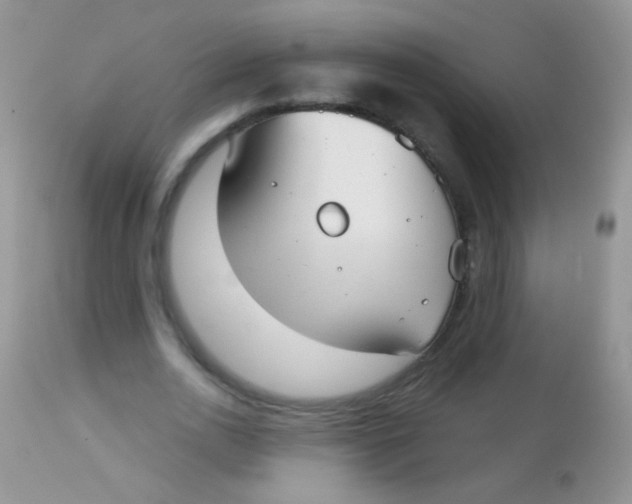 X0000113060726200909182000