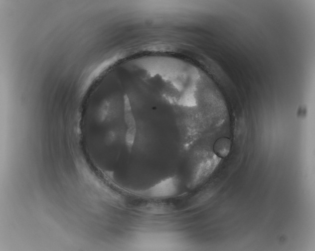 X0000113060727200909182000