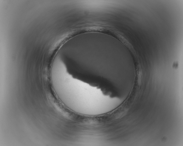 X0000113060729200909182000