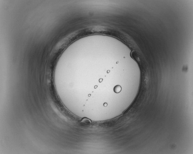 X0000113060732200909182000